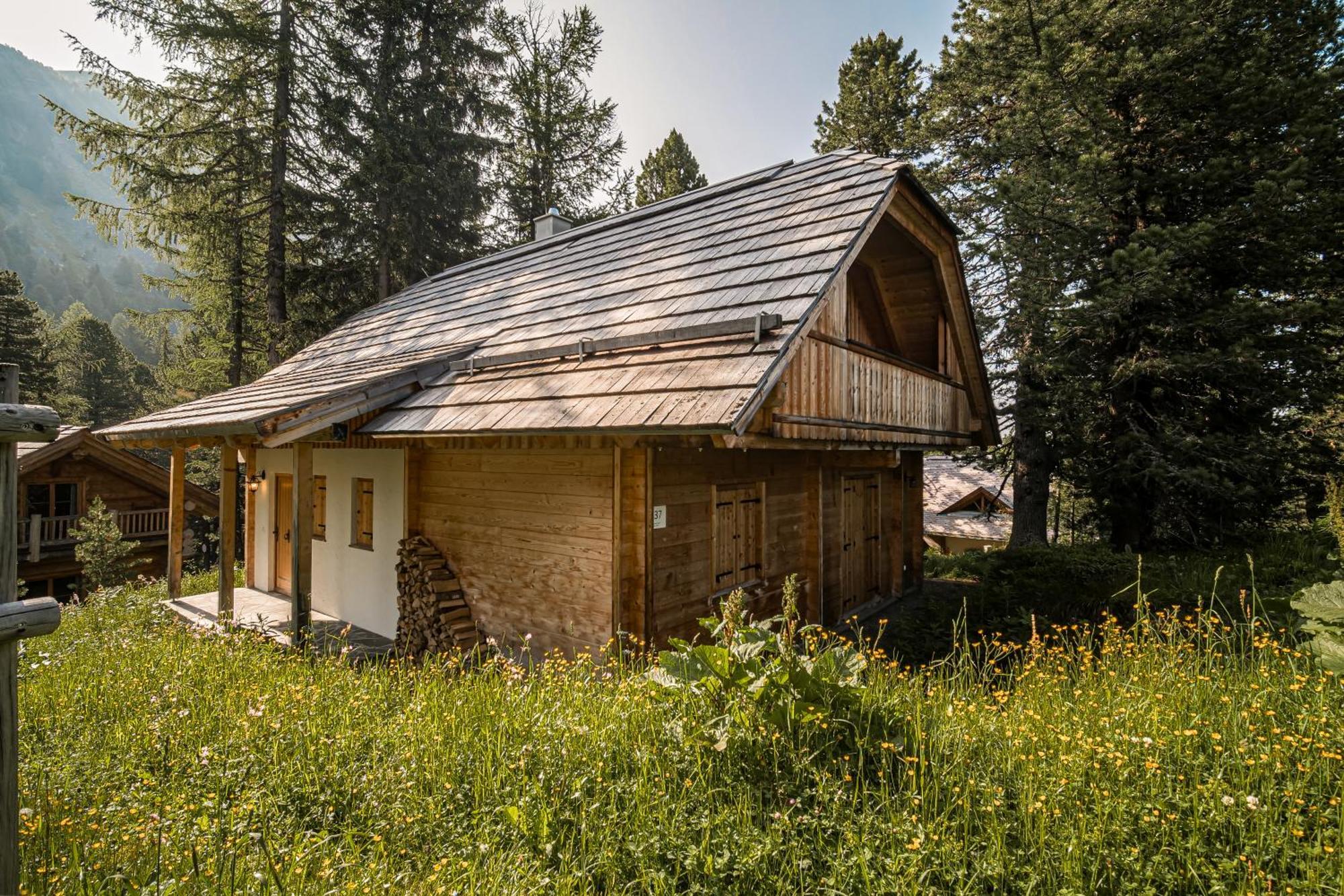 Alpin-Huetten Auf Der Turracherhoehe Haus Murmeltier By S4Y Turracher Hohe Εξωτερικό φωτογραφία