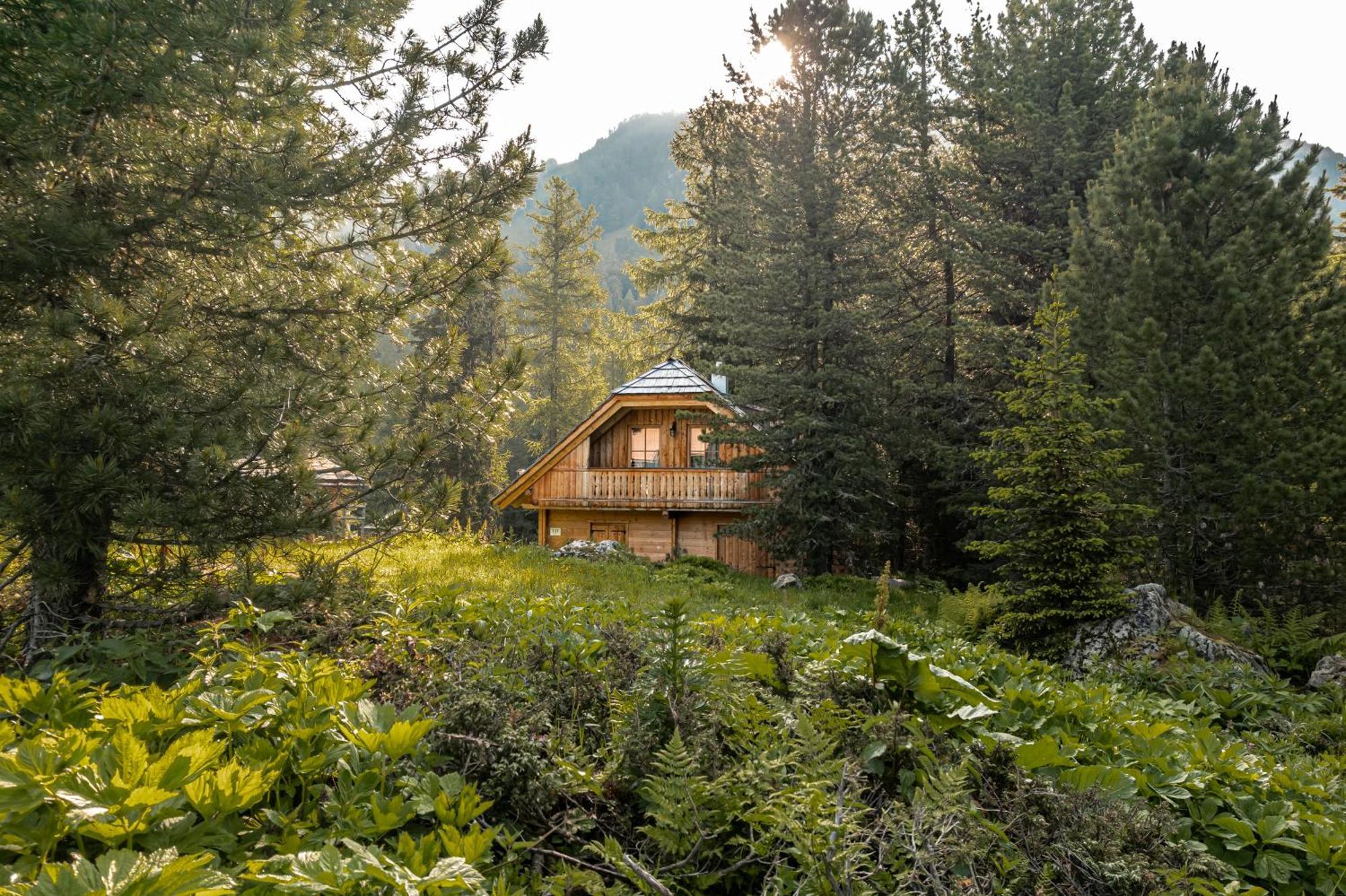 Alpin-Huetten Auf Der Turracherhoehe Haus Murmeltier By S4Y Turracher Hohe Εξωτερικό φωτογραφία
