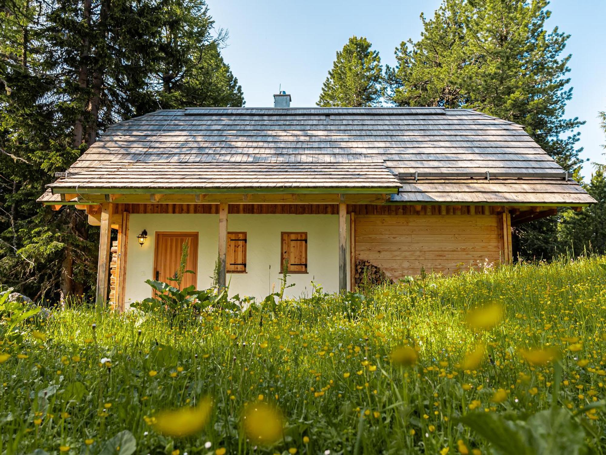 Alpin-Huetten Auf Der Turracherhoehe Haus Murmeltier By S4Y Turracher Hohe Εξωτερικό φωτογραφία